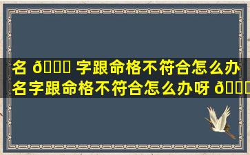 名 🐟 字跟命格不符合怎么办「名字跟命格不符合怎么办呀 🐛 」